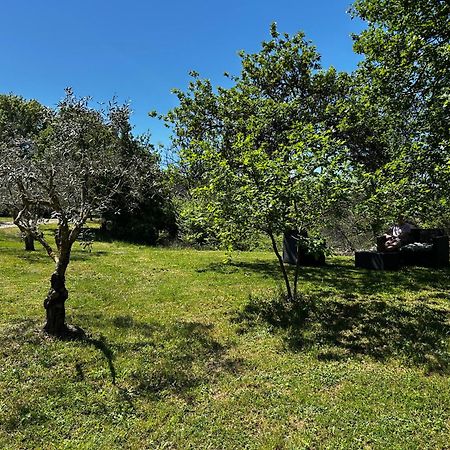 Niozelles Les Demeures Du Clos מראה חיצוני תמונה