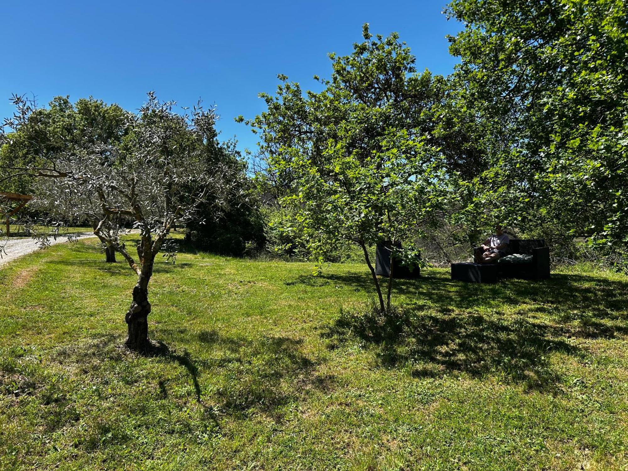 Niozelles Les Demeures Du Clos מראה חיצוני תמונה